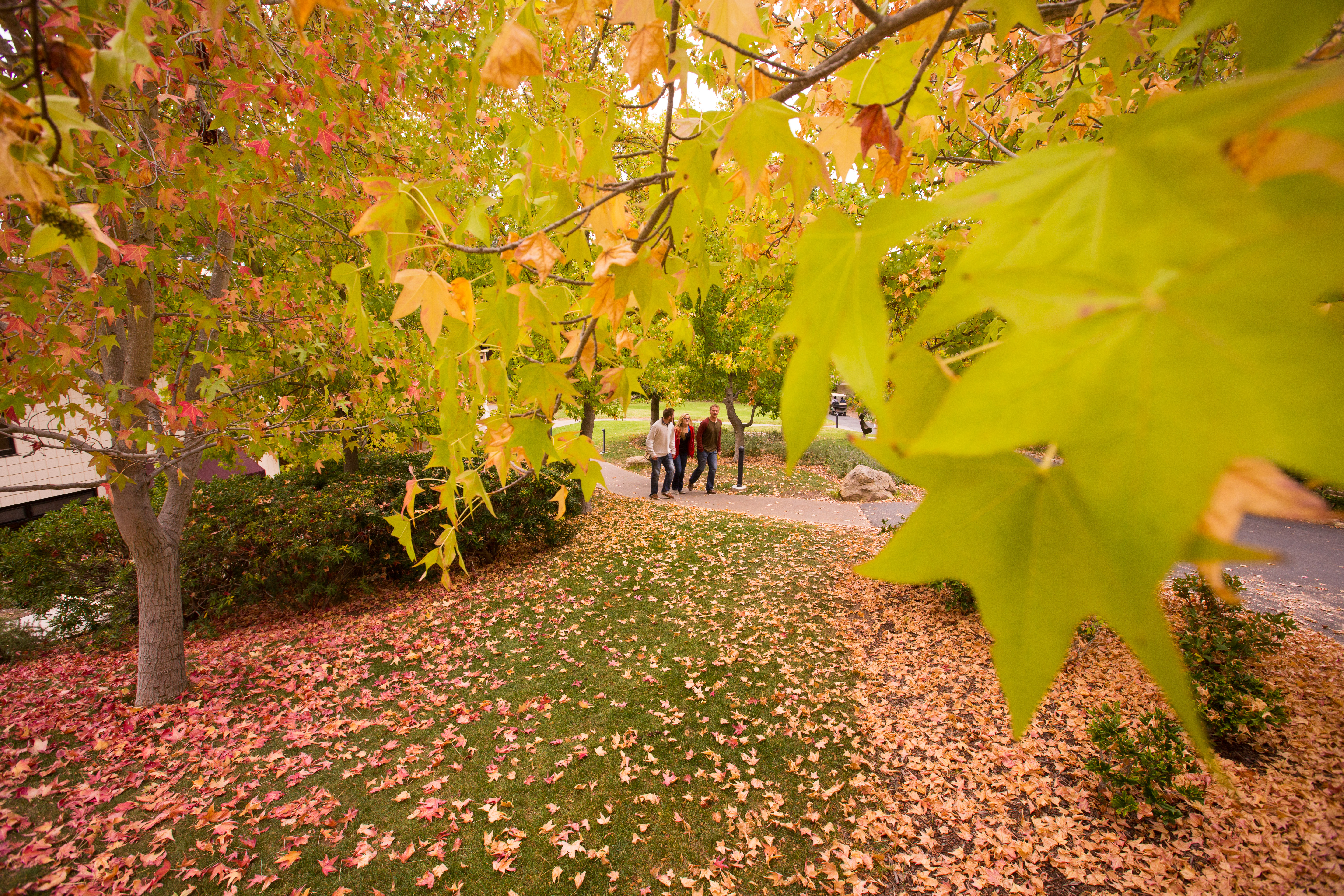 students walking on westmont campus in fall