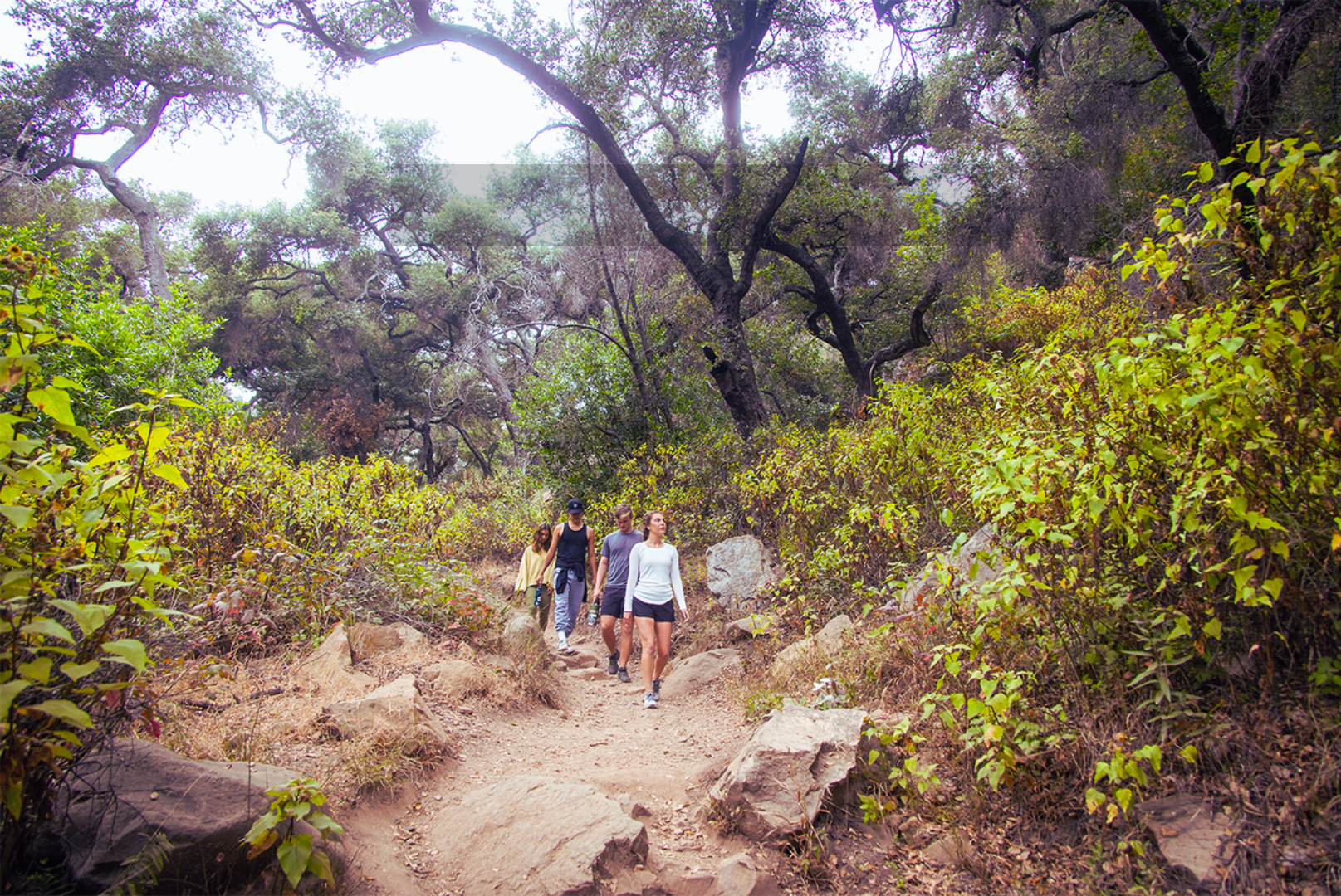 4 students hiking trail.