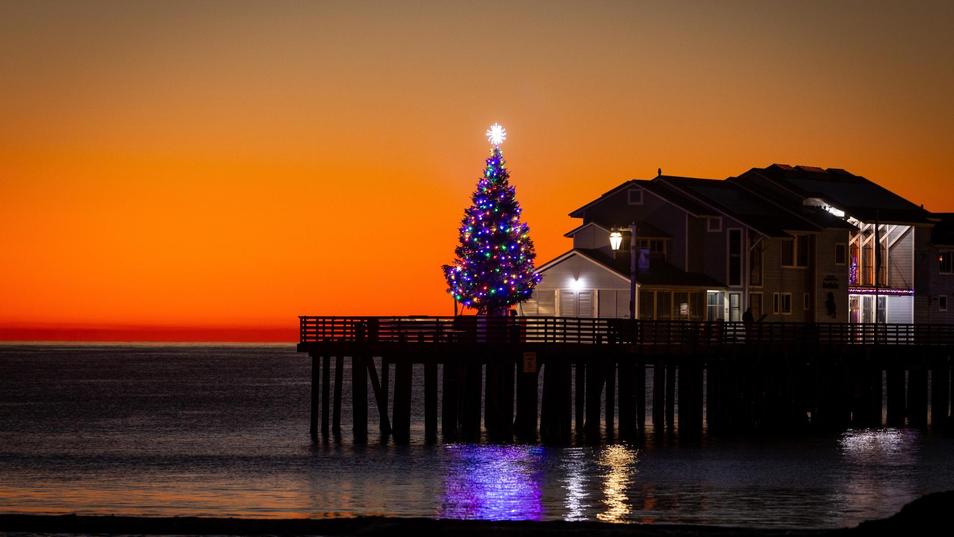 2025 sterns wharf christmas tree