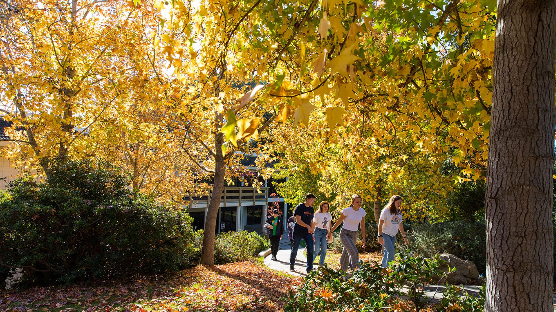 Thanksgiving Message