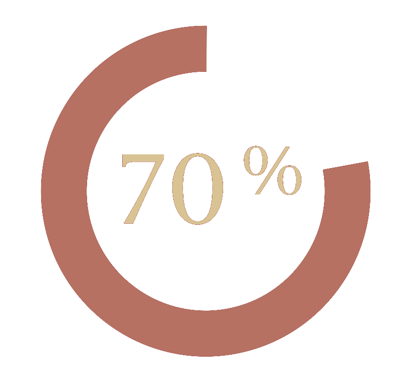 70% icon