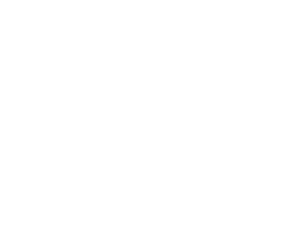 white w icon